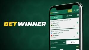 BetWinner Reliability A Comprehensive Review -557556874