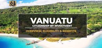 Maximize Opportunities with a Citizenship by Investment Agent Maximize Opportunities with a Citizenship by Investment Agent