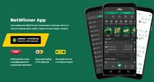 Betwinner Your Ultimate Betting Experience 1110531315